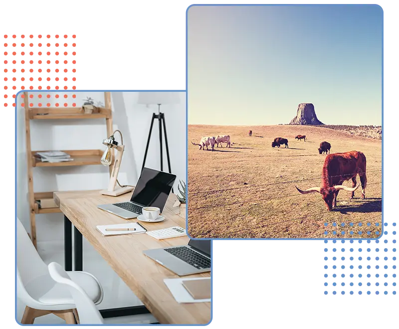 Modern home office desk with laptop and coffee, combined with Wyoming prairie landscape featuring cattle and Devils Tower, symbolizing Strumark LLC Sheridan Wyoming roots and remote work.