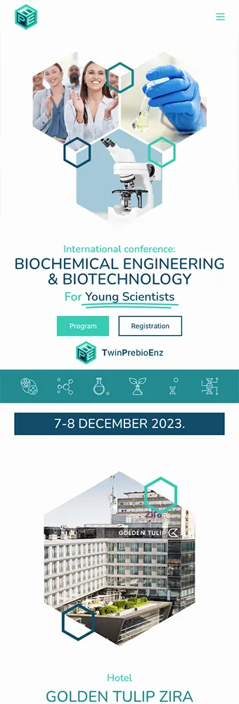 Mobile screenshot of the icbeb-ys website designed and developed by Strumark