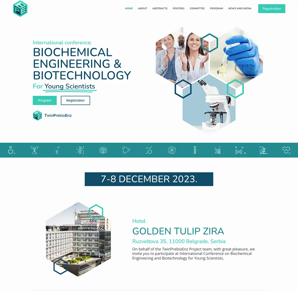 Screenshot of the icbeb-ys website designed and developed by Strumark